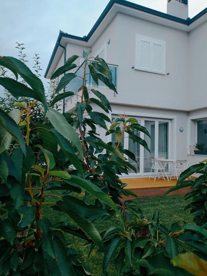 Marena B&B 포그라데츠 외부 사진